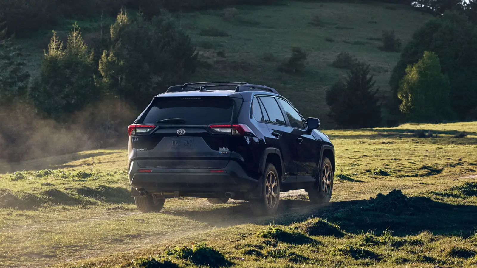 Toyota RAV4 2025