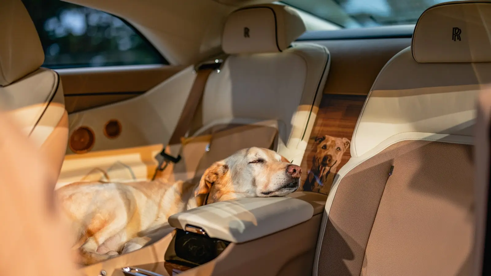 ROLLS-ROYCE SPECTRE BAILEY